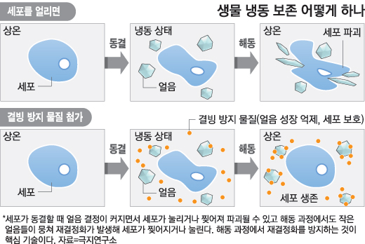 클릭하면 창이 닫힙니다
